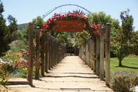 Weingut Matetic (2) &ndash; &copy; Susanne Schirmann (Eberhardt TRAVEL)