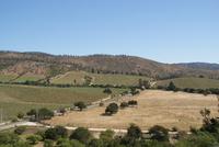 Weingut Matetic (14) &ndash; &copy; Susanne Schirmann (Eberhardt TRAVEL)