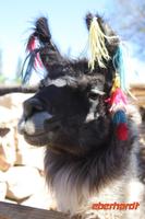 &copy; Nicole Hickmann (Eberhardt TRAVEL)