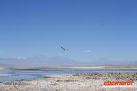 &copy; Nicole Hickmann (Eberhardt TRAVEL)