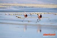 &copy; Nicole Hickmann (Eberhardt TRAVEL)