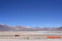 &copy; Nicole Hickmann (Eberhardt TRAVEL)