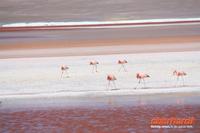 &copy; Nicole Hickmann (Eberhardt TRAVEL)
