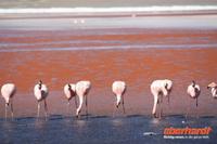 &copy; Nicole Hickmann (Eberhardt TRAVEL)