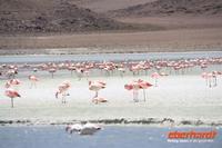 &copy; Nicole Hickmann (Eberhardt TRAVEL)