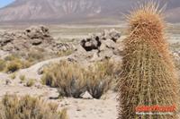 &copy; Nicole Hickmann (Eberhardt TRAVEL)
