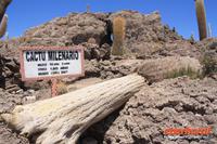 &copy; Nicole Hickmann (Eberhardt TRAVEL)