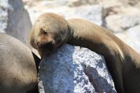 &copy; Nicole Hickmann (Eberhardt TRAVEL)