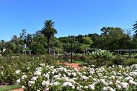 Buenos Aires (30) &ndash; &copy; Eric Richter (Eberhardt TRAVEL)