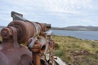 Falkland Inseln - Malvinas (3) &ndash; &copy; Eric Richter (Eberhardt TRAVEL)