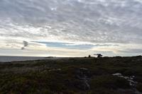 Falkland Inseln - Malvinas (14) &ndash; &copy; Eric Richter (Eberhardt TRAVEL)