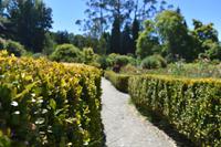 Frutillar (8) &ndash; &copy; Eric Richter (Eberhardt TRAVEL)
