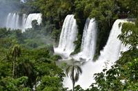 Iguazu Wasserfälle (6) &ndash; &copy; Eric Richter (Eberhardt TRAVEL)