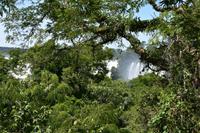 Iguazu Wasserfälle (20) &ndash; &copy; Eric Richter (Eberhardt TRAVEL)