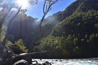 Nationalpark Vicente Perez Rosales (2) &ndash; &copy; Eric Richter (Eberhardt TRAVEL)