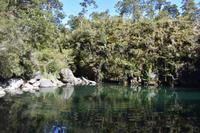 Nationalpark Vicente Perez Rosales (4) &ndash; &copy; Eric Richter (Eberhardt TRAVEL)