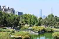 Santiago de Chile (18) &ndash; &copy; Eric Richter (Eberhardt TRAVEL)