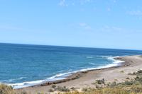Valdes (7) &ndash; &copy; Eric Richter (Eberhardt TRAVEL)