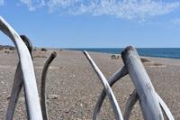 Valdes (13) &ndash; &copy; Eric Richter (Eberhardt TRAVEL)
