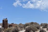 Valdes (20) &ndash; &copy; Eric Richter (Eberhardt TRAVEL)