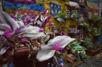 Valparaiso (14) &ndash; &copy; Eric Richter (Eberhardt TRAVEL)
