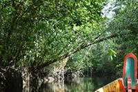 Crique Gabrielle &ndash; &copy; Wiebke Christ (Eberhardt TRAVEL)