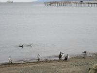 Punta Arenas &ndash; &copy; Lena Rautenberg (Eberhardt TRAVEL)