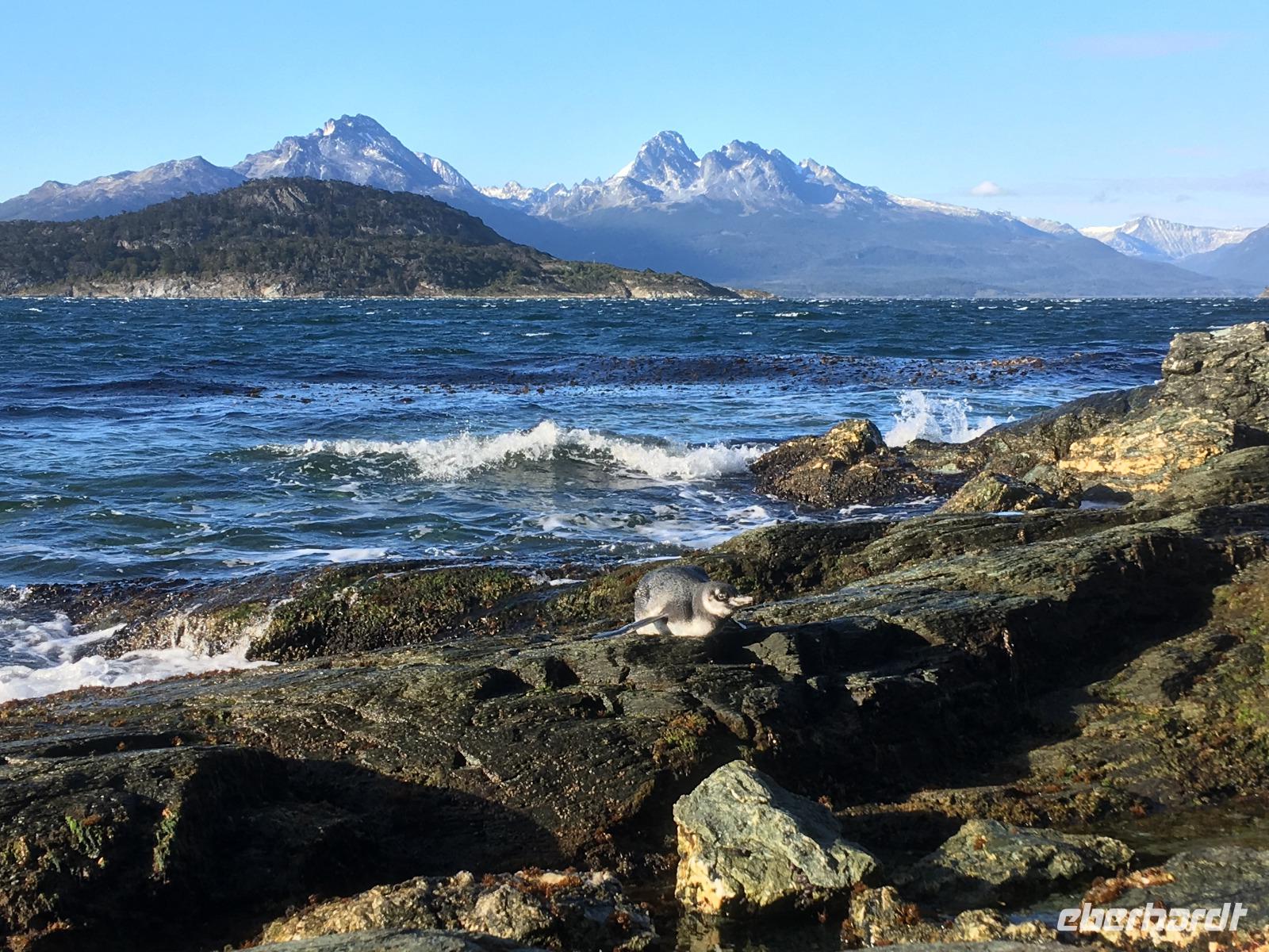 Ushuaia und Feuerland-Nationalpark &ndash; &copy; Andreas Wolfsteller (Eberhardt TRAVEL)