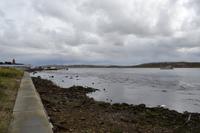 Falklandinseln - Spaziergang durch Stanley &ndash; &copy; Andreas Wolfsteller (Eberhardt TRAVEL)