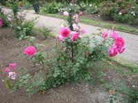 Montevideo &ndash; &copy; Daniela Paulan (Eberhardt TRAVEL)