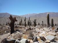 Besuch Pukara de Tilcara &ndash; &copy; Daniela Paulan (Eberhardt TRAVEL)