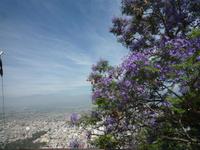 Blick auf Salta &ndash; &copy; Daniela Paulan (Eberhardt TRAVEL)