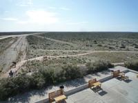 Tierparadies Valdes &ndash; &copy; Daniela Paulan (Eberhardt TRAVEL)