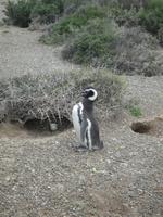 Tierparadies Valdes