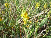 &copy; Daniela Paulan (Eberhardt TRAVEL)