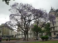 Stadtrundfahrt Buenos Aires &ndash; &copy; Daniela Paulan (Eberhardt TRAVEL)