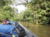 Amazonas-Regenwald &ndash; &copy; Christina Schlawis (Eberhardt TRAVEL)