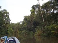 Amazonas-Regenwald &ndash; &copy; Christina Schlawis (Eberhardt TRAVEL)
