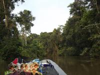 Amazonas-Regenwald &ndash; &copy; Christina Schlawis (Eberhardt TRAVEL)
