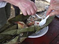 Amazonas-Regenwald: Fisch im Blattmantel &ndash; &copy; Christina Schlawis (Eberhardt TRAVEL)