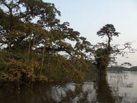 Amazonas-Regenwald &ndash; &copy; Christina Schlawis (Eberhardt TRAVEL)
