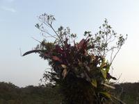 Amazonas-Regenwald &ndash; &copy; Christina Schlawis (Eberhardt TRAVEL)