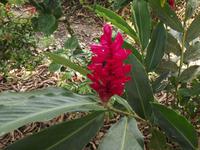 Amazonas-Regenwald &ndash; &copy; Christina Schlawis (Eberhardt TRAVEL)