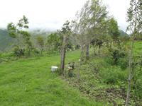 Farmland &ndash; &copy; Christina Schlawis (Eberhardt TRAVEL)