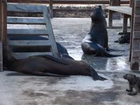 Insel Floreana &ndash; &copy; Christina Schlawis (Eberhardt TRAVEL)