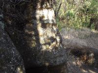 Insel Floreana &ndash; &copy; Christina Schlawis (Eberhardt TRAVEL)