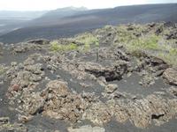 Wanderung zum Vulkan Sierra Negra &ndash; &copy; Christina Schlawis (Eberhardt TRAVEL)