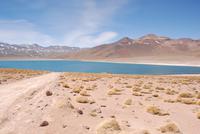 Laguna Miscanti