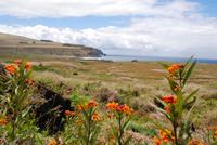 Blick nach Tongariki &ndash; &copy; Peggy Petzold (Eberhardt TRAVEL)