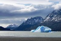 Eisberg im Grey-See &ndash; &copy; Peggy Petzold (Eberhardt TRAVEL)